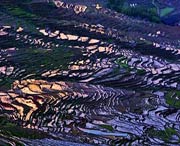 尤溪明天天气