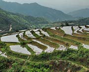 乐昌天气预报10天